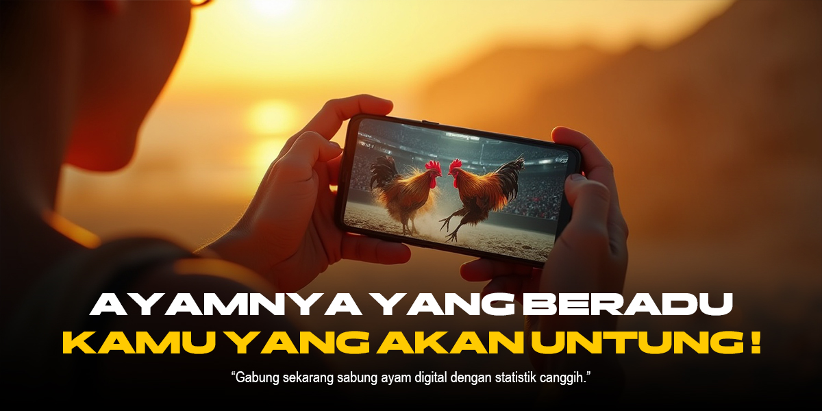 Sabung Ayam: Dari Tradisi ke Fenomena Global yang Menghipnotis